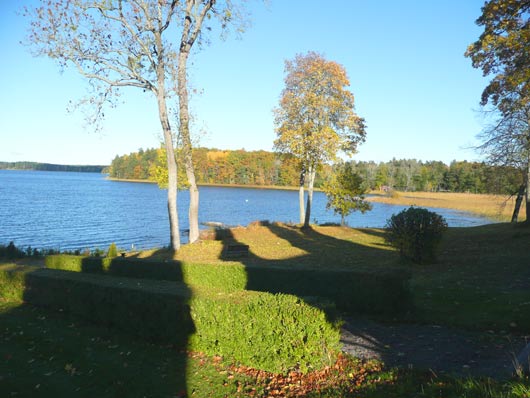 Buxbomshäckar sjön Båven