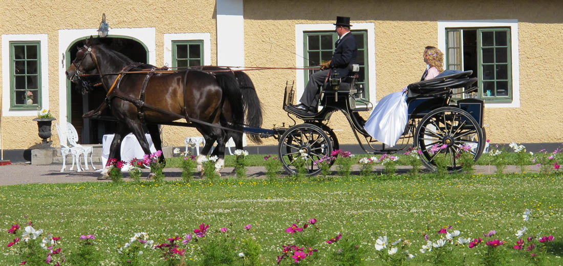Brudpar anländer med häst och vagn till slottet